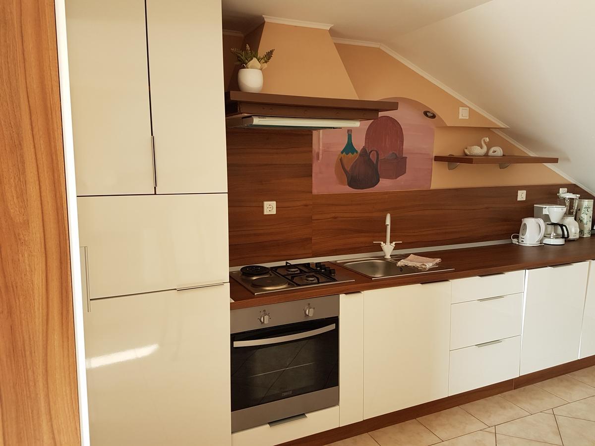 נובי ווינודולסקי Apartments Suzana מראה חיצוני תמונה