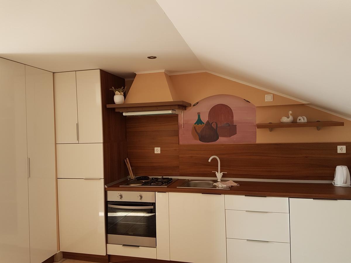 נובי ווינודולסקי Apartments Suzana מראה חיצוני תמונה