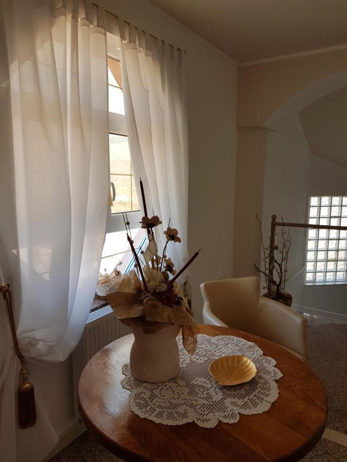 נובי ווינודולסקי Apartments Suzana חדר תמונה